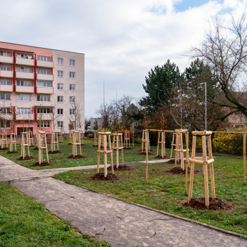 Proměna plochy na ulici Plk. Rajmunda Prchaly FOTO + VIDEO